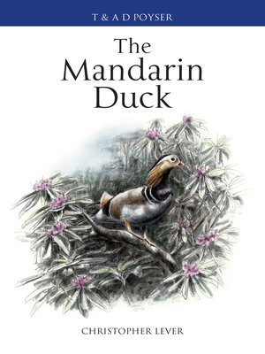 cover image of The Mandarin Duck